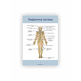 Методическое пособие Vivay Лімфатична система А4 10 с (hub_iaeoi1)