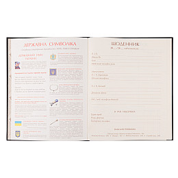 Дневник школьный YES Cool boy А5 Разноцветный 40 листов (911649)