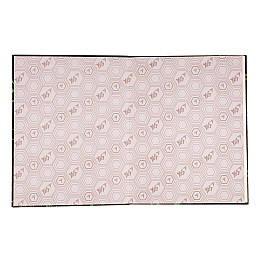 Дневник школьный YES Play football А5 Черно-зеленый 40 листов (911653)