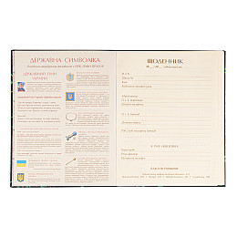 Дневник школьный YES Play football А5 Черно-зеленый 40 листов (911653)