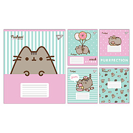 Набір зошитів шкільних YES А5/12 лінія Pusheen Candy 25 шт (767598)