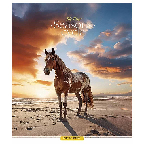 Тетрадь общая Школьник Four seasons A5 линия 48 листов (048-3403L-3)
