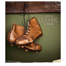 Тетрадь общая Школьник Classic style A5 линия 60 листов (060-3405L-4)