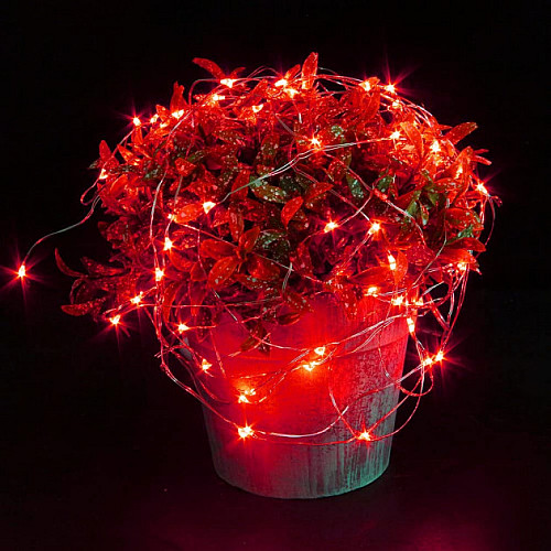 6 Світлодіодних гірлянд нитка 20LED для створення фотозон та атмосфери Червоний 2 м (SUN-209)