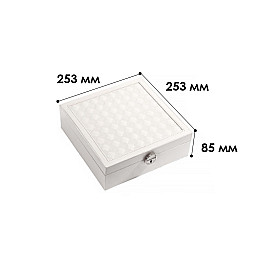 Шкатулка для прикрас Casegrace SP-01130 Білий (12493-76072)
