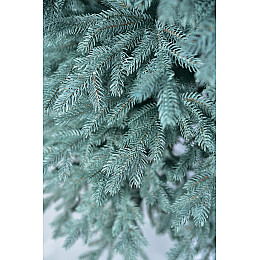 Штучна ялинка Sunlight Finska Smaragd з підставкою 2,1 м