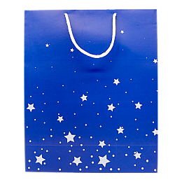 Пакет подарковий Львівська Мануфактура Друку Зірки 27х33 см Синьо-білий L48