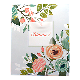 Пакет подарочний Львівська Мануфактура Друку Вітаю 27х33 см Різнокольоровий L29ML