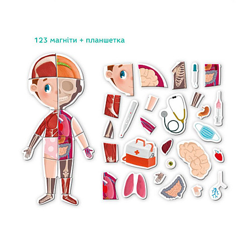 Розвиваюча магнітна гра "Людське тіло" DoDo 200220 123 ел