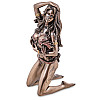 Cтатуэтка колекційна Дівчина з драконом 17х9 см Veronese Коричневий AL229054