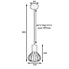 Светильник лофт подвесной MSK Electric Lotus NL 1415