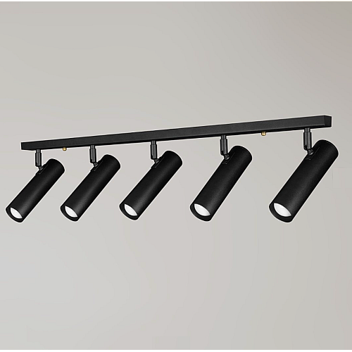 Светильник потолочный MSK Electric Telescope с повортными плафонами NL 22501-5 BK