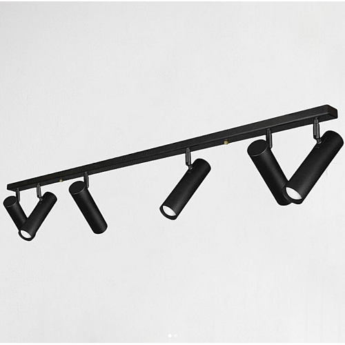 Светильник потолочный MSK Electric Telescope с повортными плафонами NL 22501-6 BK