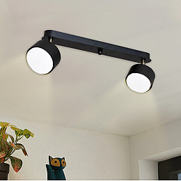 Светильник потолочный MSK Electric Copter с поворотными плафонами под две лампы GX53 NL 80405-2 BK Черный (619314)