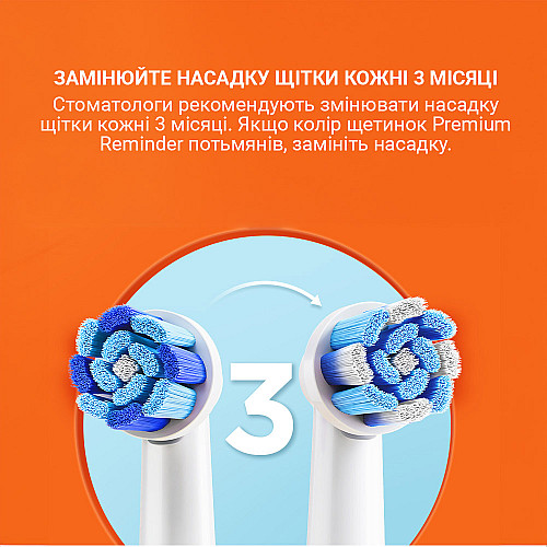 Электрическая зубная вращающаяся щетка с футляром Bitvae R2 8 насадок Black