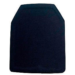 Тренувальна плита No Brand 25х30 см 2.4 кг Чорний (2653719208)