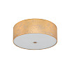 Потолочный светильник Eglo 97642 VISERBELLA (EG97642)
