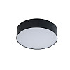Потолочный светильник AZzardo MONZA R 22 SHR653000-20-BK