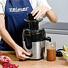 Соковыжималка ZELMER ZJE4800 600 Вт Черно-серый (74723593)