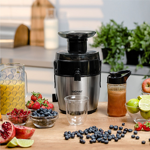 Соковыжималка ZELMER ZJE4800 600 Вт Черно-серый (74723593)