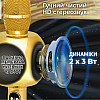 Бездротовий караоке мікрофон Magic Karaoke YS-90 Pro Gold