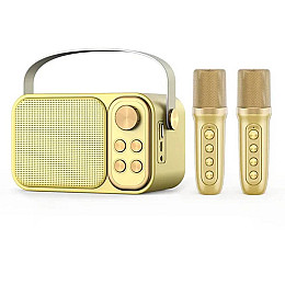 Портативная караоке-система Inspire YS-105 Gold