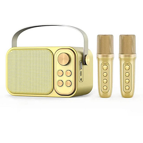 Портативная караоке-система Inspire YS-105 Gold