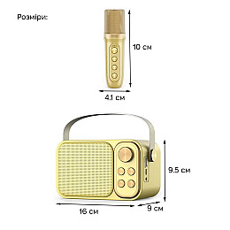 Портативная караоке-система Inspire YS-105 Gold