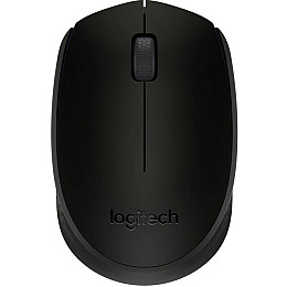 Мышь Logitech Wireless Mouse M171 Black (6270804)