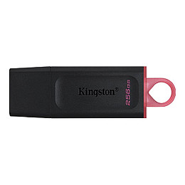 Флеш-накопитель USB3.2 256GB Kingston DataTraveler Exodia Black/Pink (DTX/256GB)