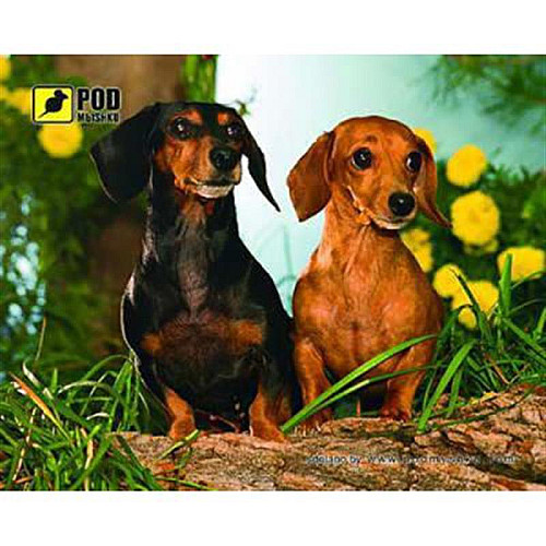 Коврик для миші Podmyshku Такси