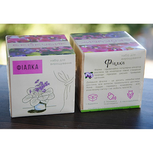 Экокуб фиалка набор для выращивания растений (ytrewq543228)