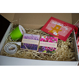 Подарочный набор на День Влюбленных Экокубик