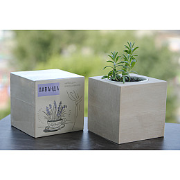 Подарочный набор на 8 марта от Экокубика FLORAL