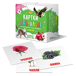Карточки обучающие Гленна Домана №6 Мастер MKD0013 укр