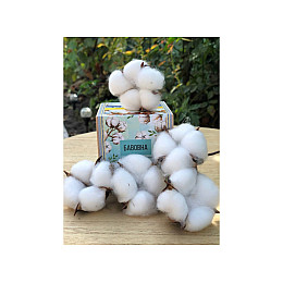 Набор для выращивания Экокуб Хлопок 114-10826675