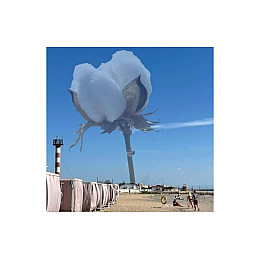 Набор для выращивания Экокуб Хлопок 114-10826675