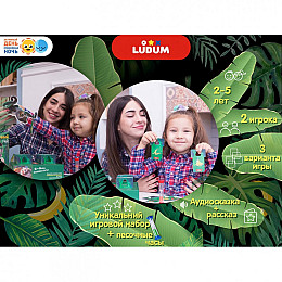 Настільна гра Ludum