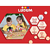 Настольная игра "Чудо в перьях" Ludum LG2045-57 украинский язык