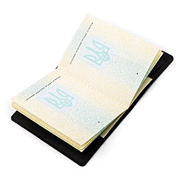 Обложка на паспорт Shvigel кожаная Черный (13917)