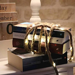 Гирлянда LED Веревка теплый свет 30 светодиодов 3,3 м. 45022 (FL000071)