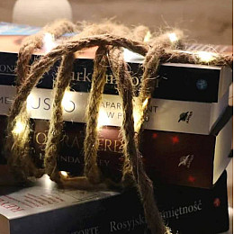 Гирлянда LED Веревка теплый свет 30 светодиодов 3,3 м. 45022 (FL000071)