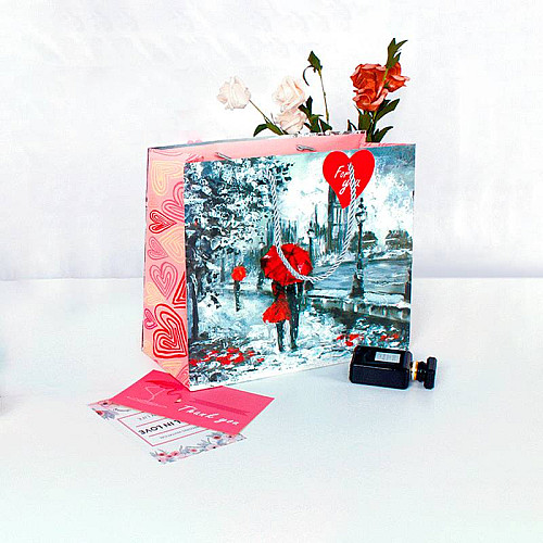 Подарочный пакет Lesko PPW PAPER ZD010-3 Two Lovers Big 245х290х125 Разноцветный (8590-31728)
