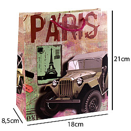 Сумочка подарочная бумажная с ручками Gift bag Paris 21х18х8.5 см (19374)