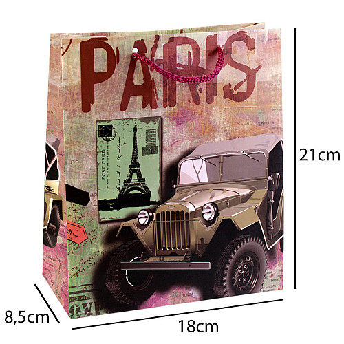 Сумочка подарочная бумажная с ручками Gift bag Paris 21х18х8.5 см (19374)