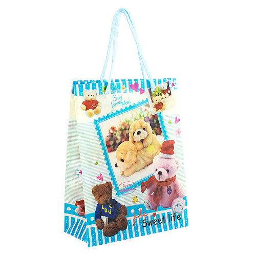Сумочка подарочная пластиковая с ручками Gift bag Мишки 23х18х7.5 см Голубой (27348)