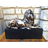 Статуетка декоративна Lion 17 см Veronese AL84475