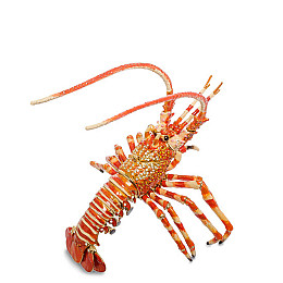 Шкатулка для бижутерии Лобстер 17,5 см Lefard AL46169