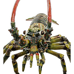 Шкатулка для бижутерии Лобстер 11 см Lefard AL46394