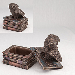Шкатулка Veronese Сова на книгах Q2 Бронзовый AL3138
